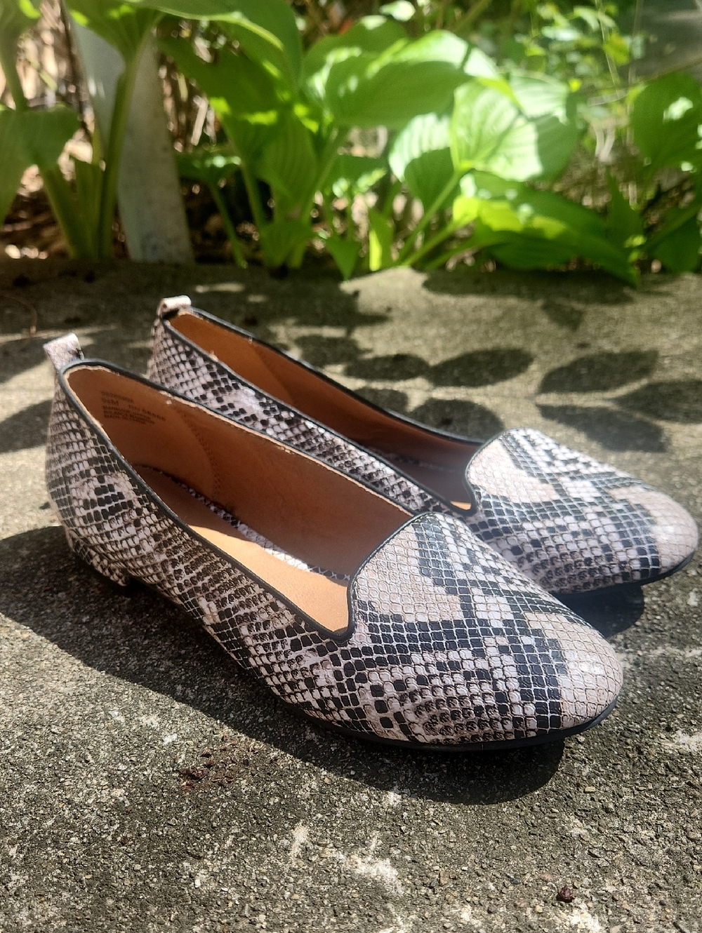 Abound Nordstroms Snake-Print Women’s Flat Slip-Ons Loafer  - Neutral 9.5 M